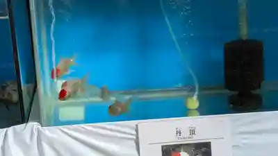 柳澤神社(奈良県)