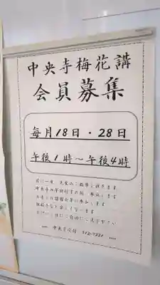 中央寺の体験その他