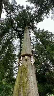 高鴨神社(奈良県)