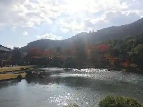 天龍寺の景色