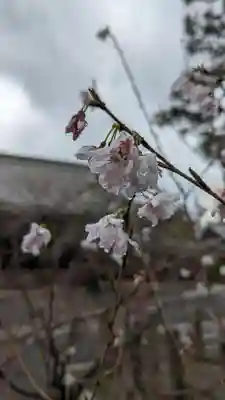 本法寺(京都府)
