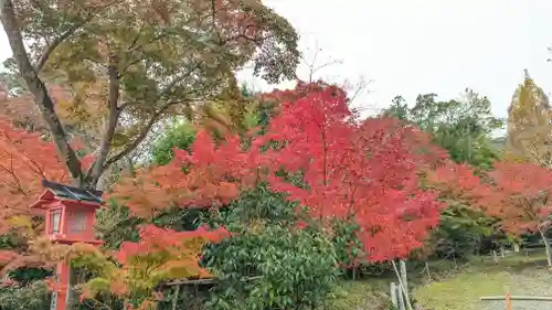 鍬山神社(京都府)