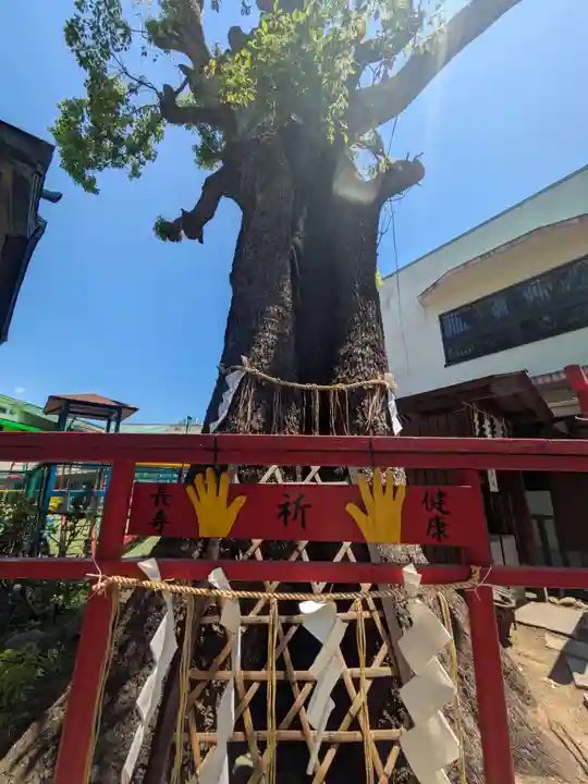 五方山熊野神社(東京都)