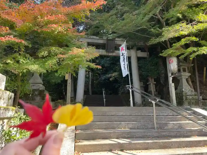 等彌神社(奈良県)