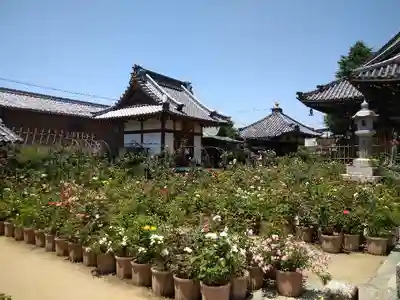 おふさ観音（観音寺）のその他建物