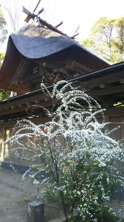 大洗磯前神社の本殿・本堂