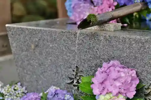 高司神社〜むすびの神の鎮まる社〜の手水舎