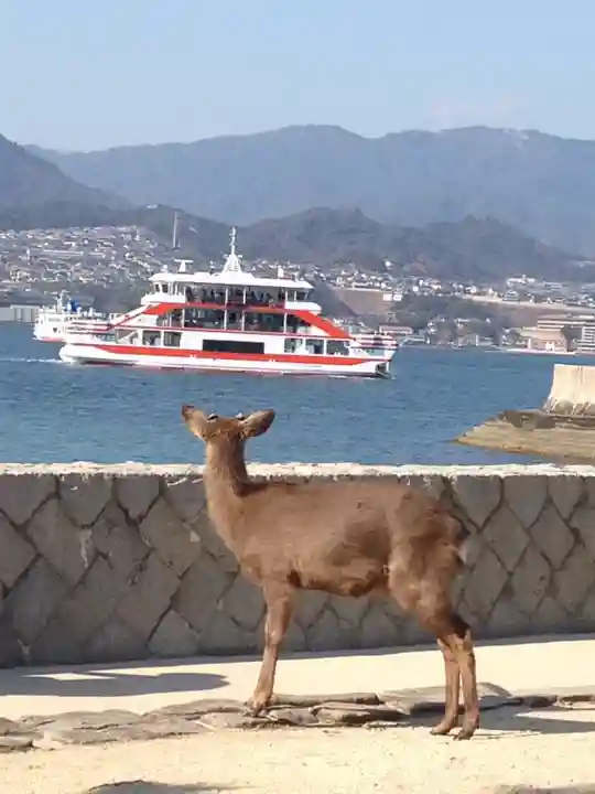 厳島神社の動物