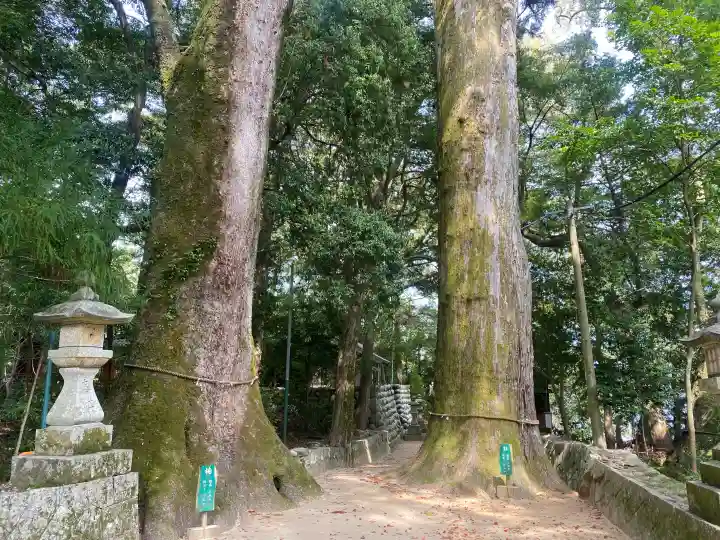 飛鳥神社の{uncategorized: "未分類", other: "その他", undefined: "問題あり", building: "その他建物", grave: "お墓", sacred_gate: "鳥居", guardian: "狛犬", statue: "像", buddha: "仏像", history: "歴史", nature: "自然", garden: "庭園", animal: "動物", pagoda: "塔", temizu: "手水舎", mountain_gate: "山門・神門", sanctuary: "本殿・本堂", subordinate: "末社・摂社", art: "芸術", scenery: "景色", jizo: "地蔵", ema: "絵馬", goshuin: "御朱印", omikuji: "おみくじ", items: "授与品その他", amulet: "お守り", goshuincho: "御朱印帳", eats: "食事", festival: "お祭り", votive_dance: "神楽", shichigosan: "七五三参", wedding: "結婚式", experience: "体験その他", initially: "初詣", around: "周辺", anti_infection: "感染症対策"}
