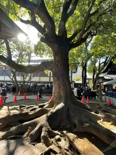穴八幡宮(東京都)