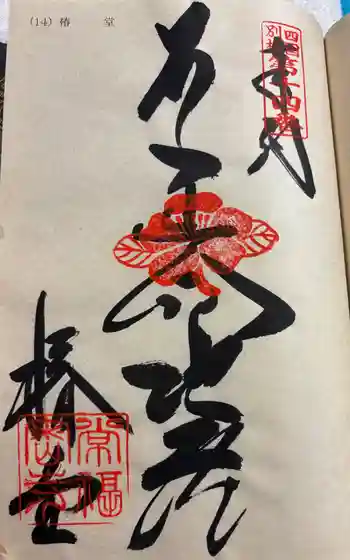 常福寺(椿堂)の御朱印 2024年04月