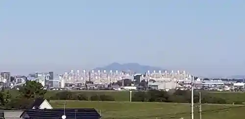 樋野口稲荷神社(埼玉県)