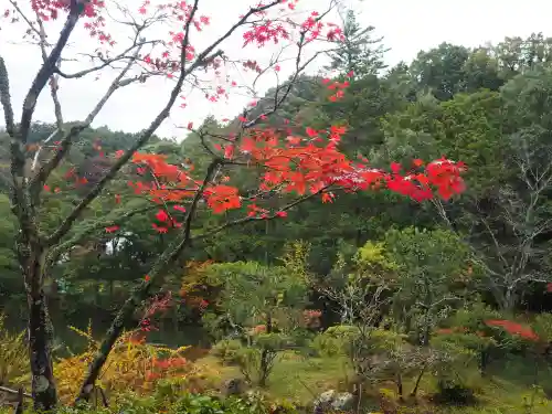 円成寺の{uncategorized: "未分類", other: "その他", undefined: "問題あり", building: "その他建物", grave: "お墓", sacred_gate: "鳥居", guardian: "狛犬", statue: "像", buddha: "仏像", history: "歴史", nature: "自然", garden: "庭園", animal: "動物", pagoda: "塔", temizu: "手水舎", mountain_gate: "山門・神門", sanctuary: "本殿・本堂", subordinate: "末社・摂社", art: "芸術", scenery: "景色", jizo: "地蔵", ema: "絵馬", goshuin: "御朱印", omikuji: "おみくじ", items: "授与品その他", amulet: "お守り", goshuincho: "御朱印帳", eats: "食事", festival: "お祭り", votive_dance: "神楽", shichigosan: "七五三参", wedding: "結婚式", experience: "体験その他", initially: "初詣", around: "周辺", anti_infection: "感染症対策"}