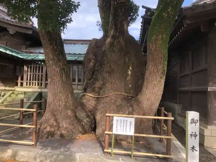 焼津神社(静岡県)