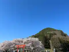 子檀嶺神社(長野県)