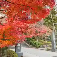 円覚寺(神奈川県)