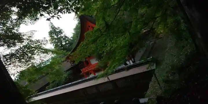 出雲大神宮の本殿・本堂