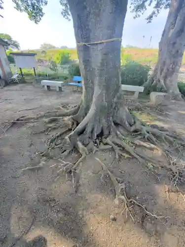 虚空蔵尊(群馬県)