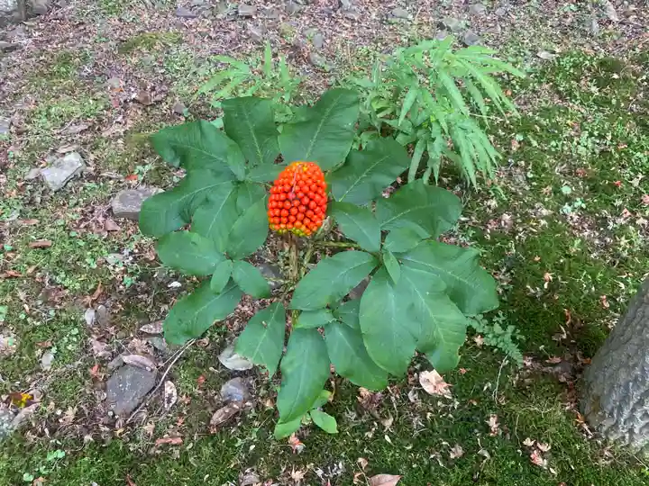 金剛院(京都府)