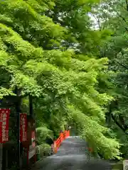 今熊野観音寺の建物その他