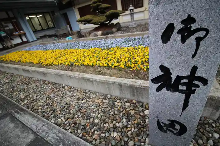 愛知縣護國神社の自然