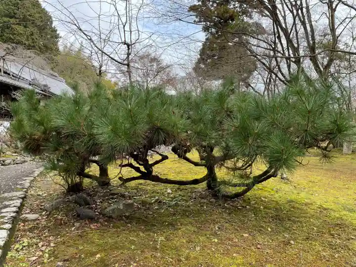 十輪寺(京都府)