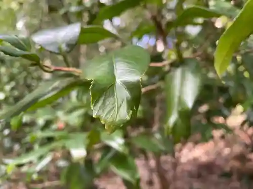 平岡八幡宮(京都府)