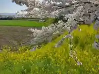 千代保稲荷神社の周辺