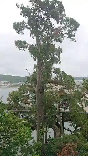 森戸大明神（森戸神社）の庭園