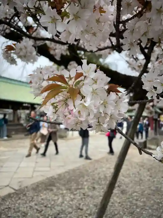 上野東照宮(東京都)