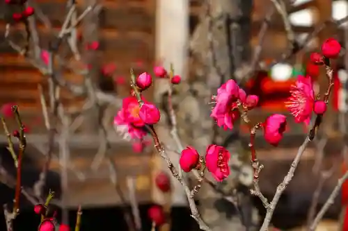 菅原天満宮（菅原神社）の自然