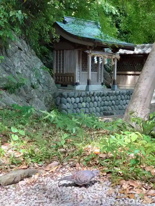 事任八幡宮の動物