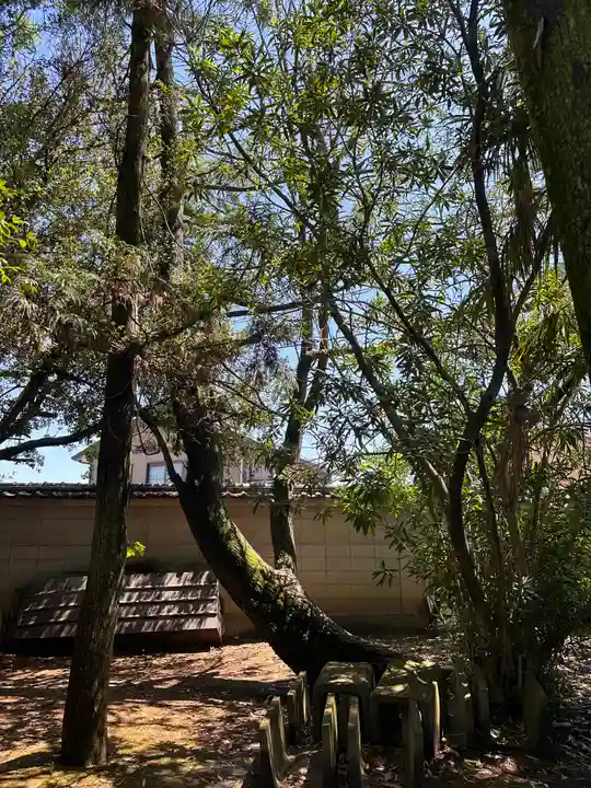 倭恩智神社(奈良県)