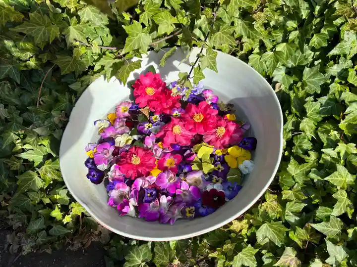 今戸神社(東京都)