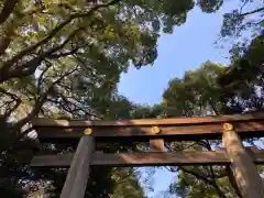 明治神宮の鳥居