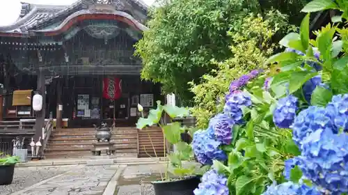 行願寺（革堂）の本殿