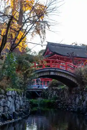 賀茂御祖神社（下鴨神社）(京都府)