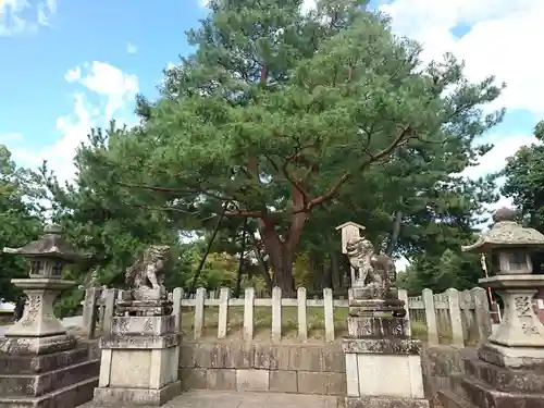 北野天満宮の庭園