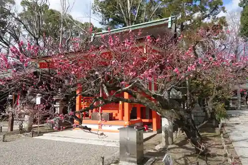 北野天満宮の自然