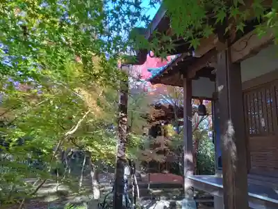 龍尾寺(大阪府)