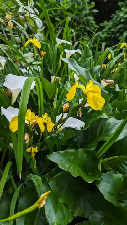 攝取院(摂取院)(滋賀県)