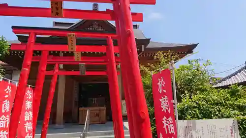 於菊稲荷神社の鳥居