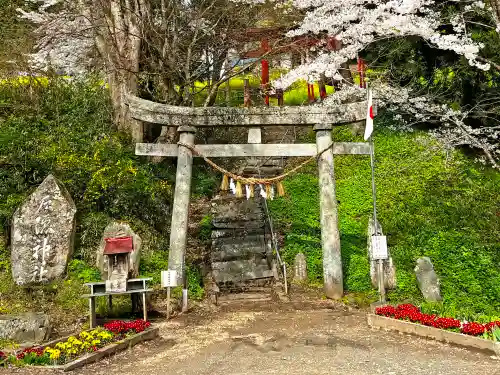 戸隠神社の鳥居