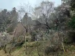 大宮温泉神社(栃木県)