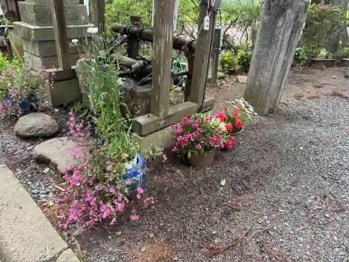 坪沼八幡神社の手水舎