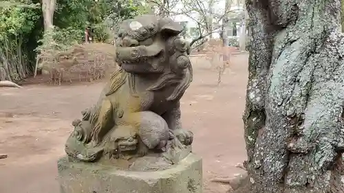 白幡神社の狛犬