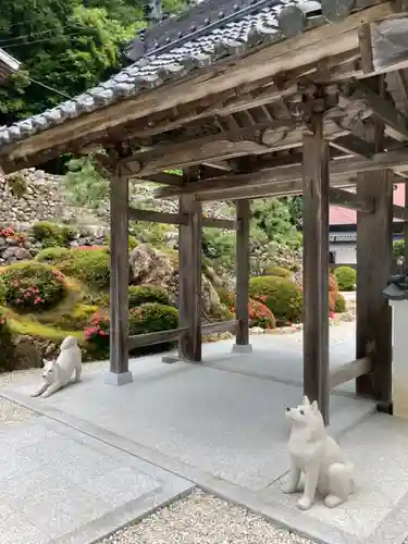法楽寺の山門・神門