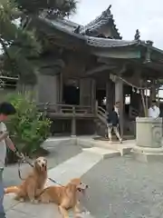 森戸大明神（森戸神社）の建物その他