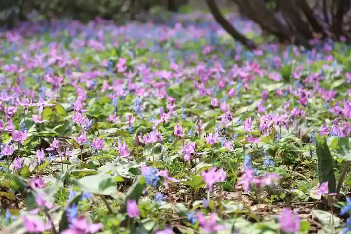 浦臼神社の自然