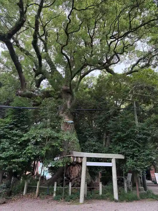 松阪神社(三重県)